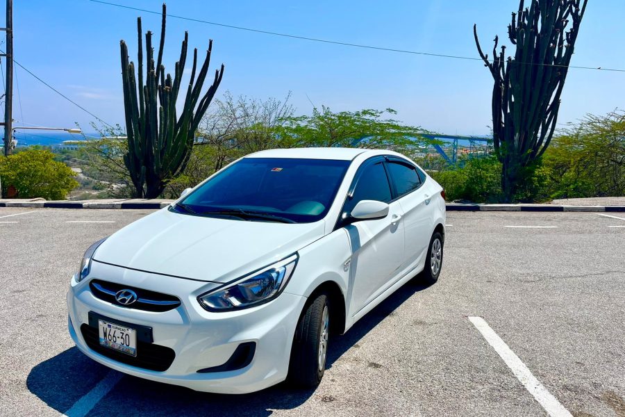 Hyundai Accent W66-30